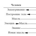 Логика и навыки взаимодействия